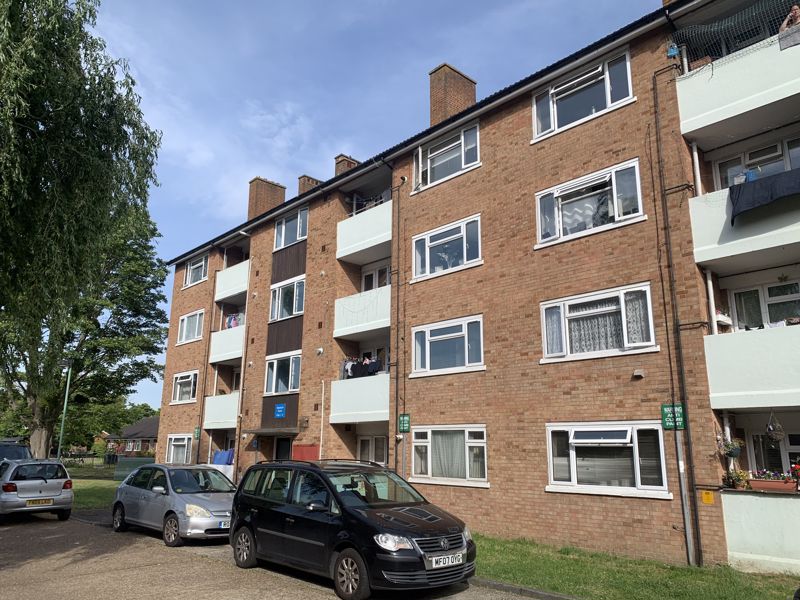 Main Image